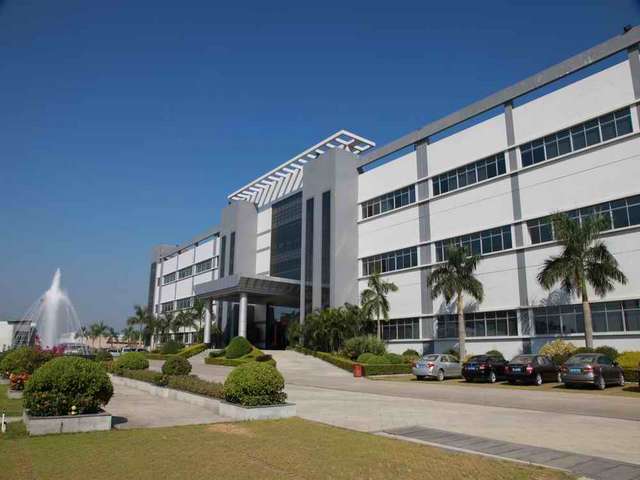 杨浦区一站式绿植租赁诚信推荐